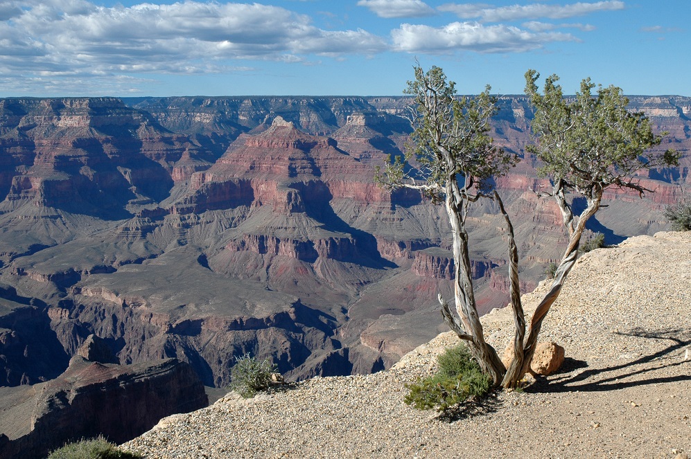 View Point del South Rim del Grand Canyon