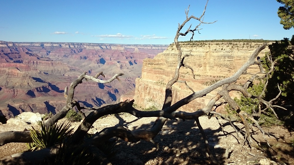 Cosa vedere al Grand Canyon: view point