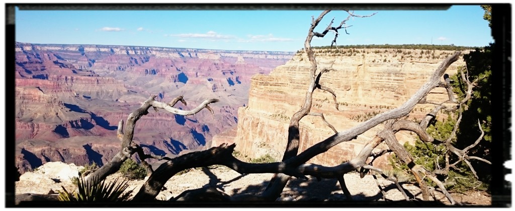 Grand Canyon: cosa vedere tra i parchi nazionali degli USA Occidentali