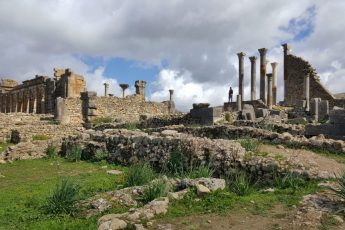 COSA VEDERE A VOLUBILIS IN MAROCCO_l'antica città romana