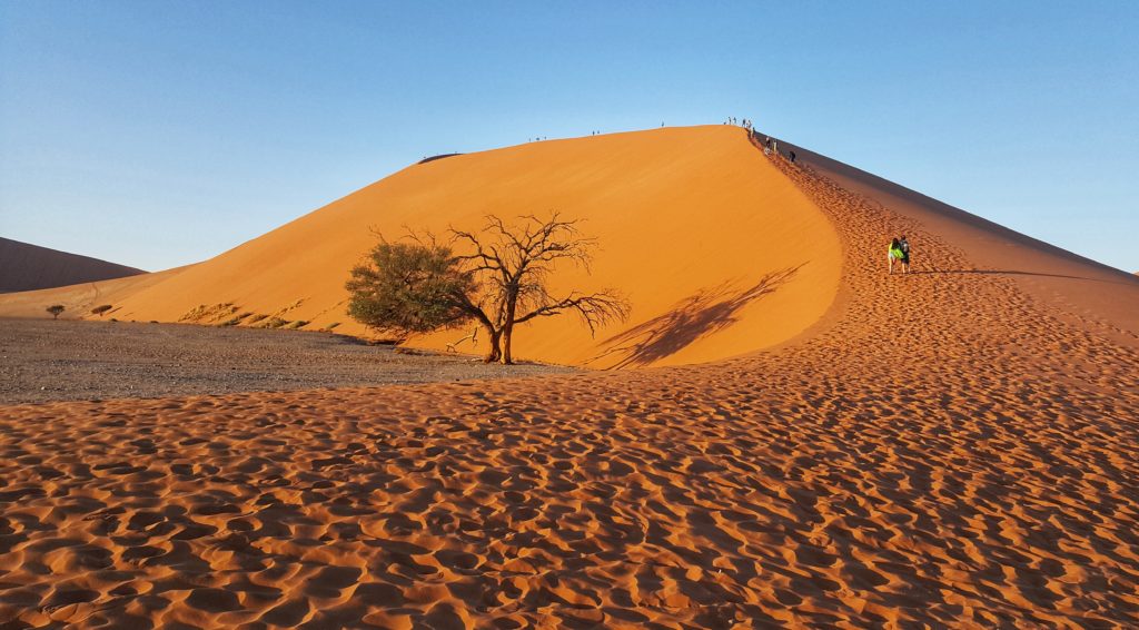 Namib Naukluft Park_Sossusvlei