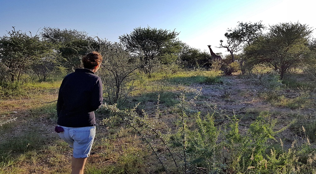 giraffa_namibia