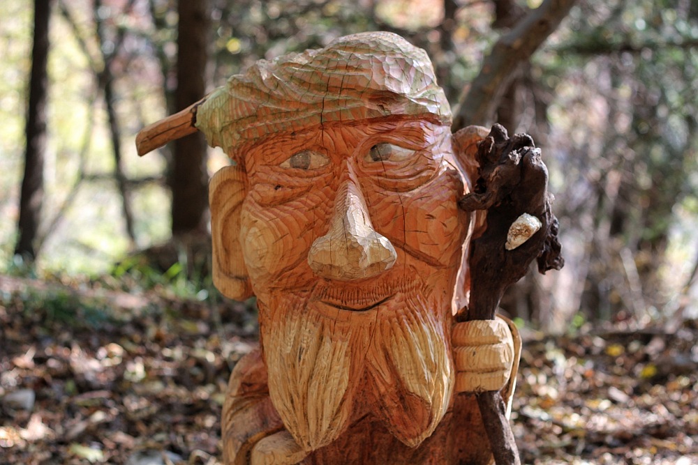 sculture di legno nel bosco di canzo in autunno