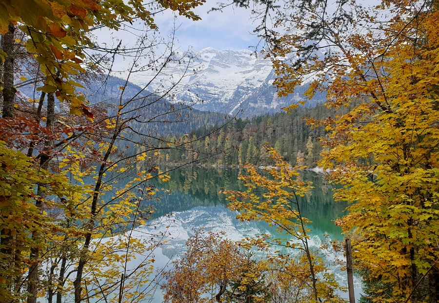 autunno_lago di tovel_foliage