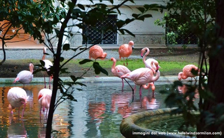 flamingos in milan_villa invernizzi_walking path